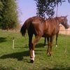 hakim.zaid2