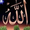 yahia.chetibi