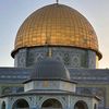 junaidu038