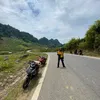 tnhvn291
