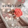 user804662019786107