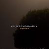 d_dalia_6