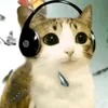 kors____