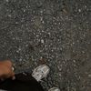 lil_k215