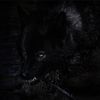 Secret_society13