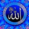 aliishekalil5