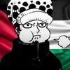salm.bd8