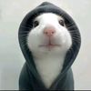 oteyy____