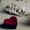 darvish_2