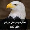 abdalkaderdrissi