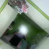 dred168