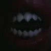 user17537843021454
