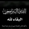 user7849096662830