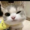 mbaskuy2
