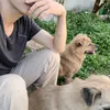 khi.nao.co.bo.se.doi.ten