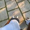 gregory_bota