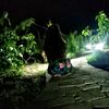 adelya.7700