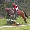 perectponys143