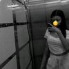 senaaxxi
