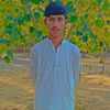 sshanali567