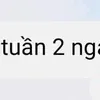 .bin524