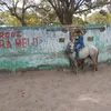 pedro.brito.samin
