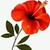 user8740399819361