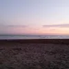 abadal_vic