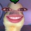 lov3r_y4y462