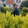 user5278079986058