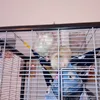 martasignorile4
