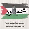 mahmoud.gaber.dia