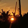 you.follow1