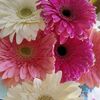 milil_hdz_satoru14_17