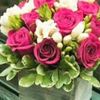 rouzirouzi446