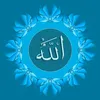 user5944408008688