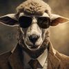 sheeptar5