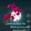 sumudu548