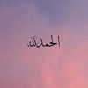 adel.shetia