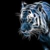 ashly_nsms_soccer