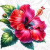 rommy.s.tee