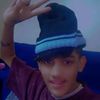 shyl__s_511