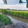 tang.tranvan