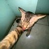 Jefri ✪