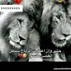 user4208186762584