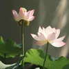 _xuyen84