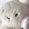 chip_nguyentuanthanh