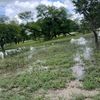 user6613945613661