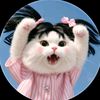 pompy_909