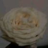 call.me.jannat.5